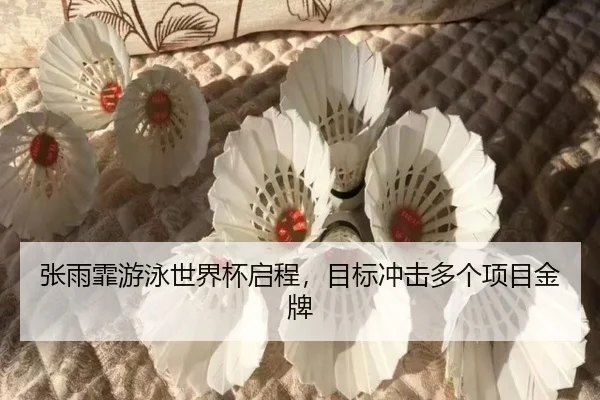 zhang-yu-fei-you-yong-shi-jie-bei-qi-cheng-mu-biao-chong-ji-duo-ge-xiang-mu-jin-pai-3-838.jpg